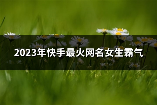 2023年快手最火网名女生霸气(优选281个)
