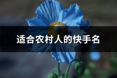 适合农村人的快手名(精选372个)