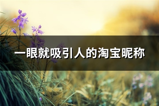 一眼就吸引人的淘宝昵称(优选238个)