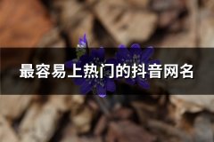 最容易上热门的抖音网名(共1171个)