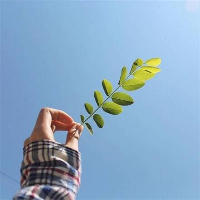 2023年最好运气的微信头像(40张)