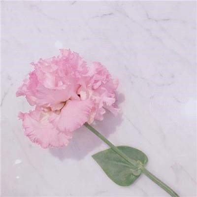 2023女人最好运的微信头像(共44张)