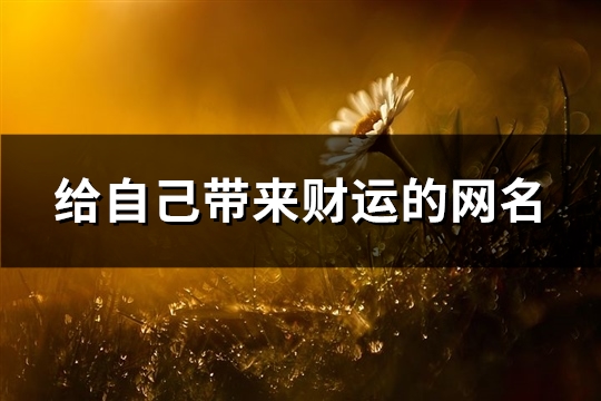给自己带来财运的网名(优选314个)