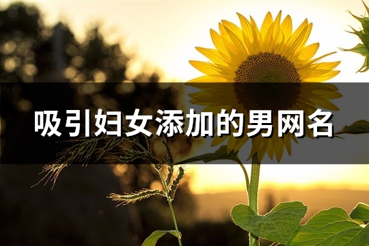 吸引妇女添加的男网名(393个)