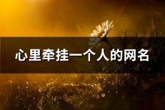心里牵挂一个人的网名(优选104个)