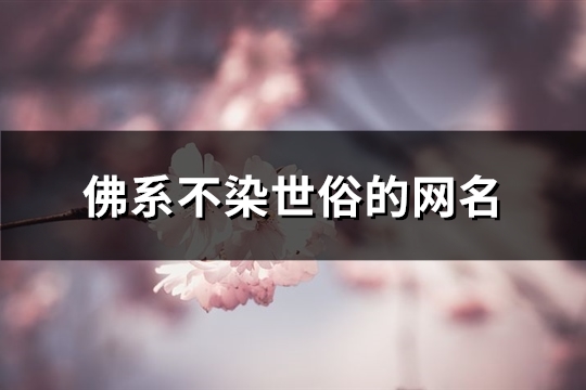佛系不染世俗的网名(共156个)