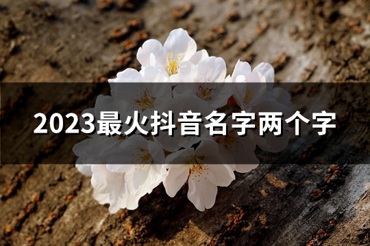 2023最火抖音名字两个字(精选541个)