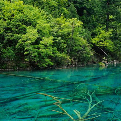 快手头像风景高清图片(优选21张)