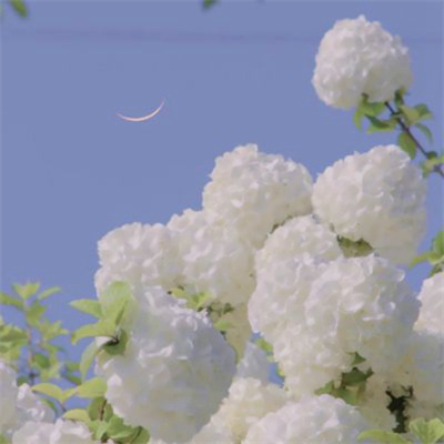 女人最适合的抖音头像风景(精选24张)