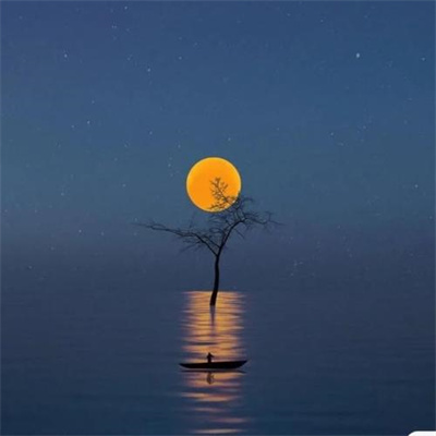 2023永久不换的头像风景(精选24张)