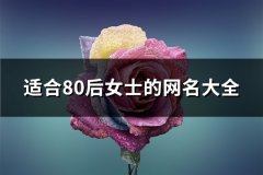 适合80后女士的网名大全(176个)