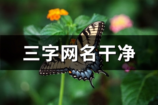 三字网名干净(精选1414个) 三字网名干净(精选1414个)