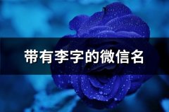 带有李字的微信名(共132个)