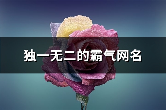 独一无二的霸气网名(精选297个)