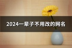 2024一辈子不用改的网名(共526个)