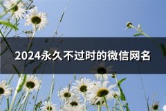 2024永久不过时的微信网名(优选1223个)