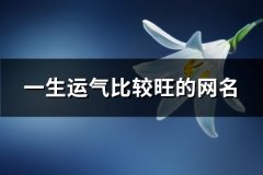 一生运气比较旺的网名(共421个)