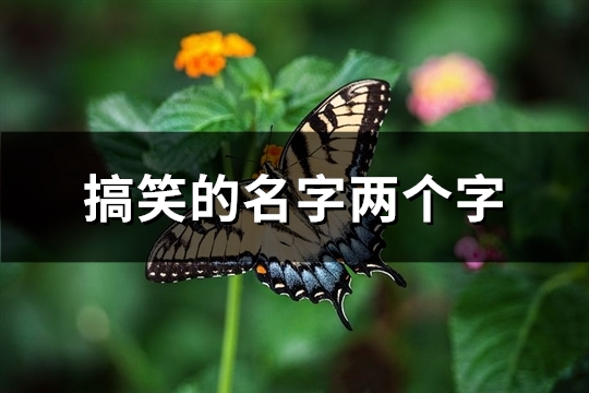 搞笑的名字两个字(精选426个)