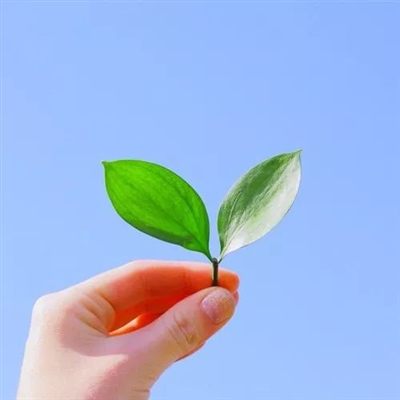 微信头像简约干净(共24张)