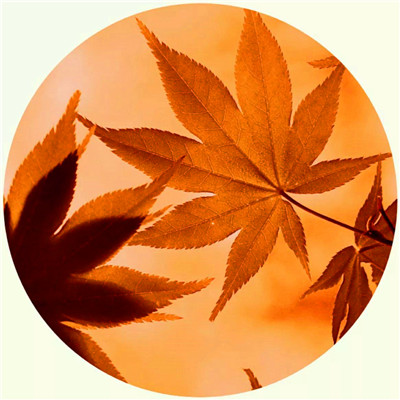 健康吉利女人微信头像好运(精选34张)