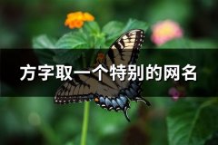 方字取一个特别的网名(共68个)