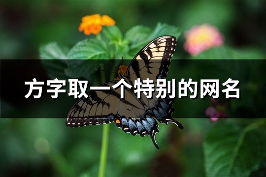 方字取一个特别的网名(共68个)