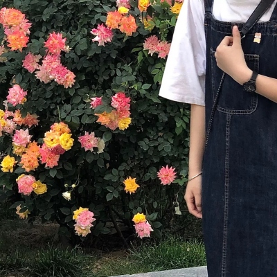 40岁女人拿花微信头像(15张)