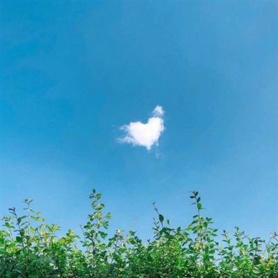 40多岁女性微信头像(优选22张)
