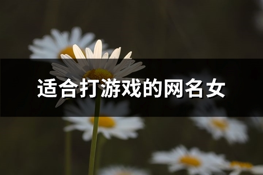 适合打游戏的网名女(共638个)
