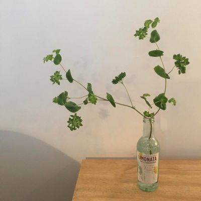 阳光干净的微信头像(共20张)