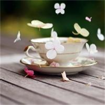 2023年风景头像(优选20张)