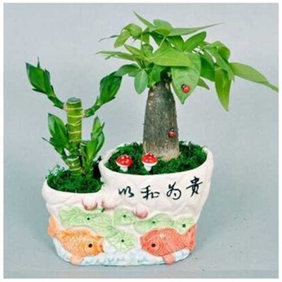 今年最旺财的微信头像(优选16张)