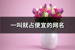 一叫就占便宜的网名(优选226个)
