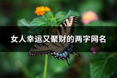 女人幸运又聚财的两字网名(253个)