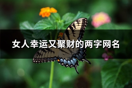 女人幸运又聚财的两字网名(253个)