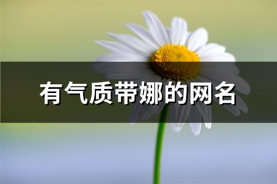 有气质带娜的网名(精选86个)