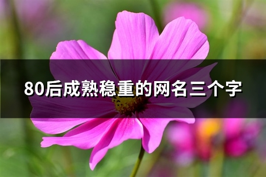 80后成熟稳重的网名三个字(共386个)