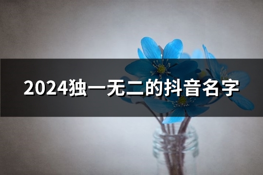 2024独一无二的抖音名字(592个)