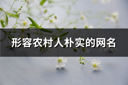 形容农村人朴实的网名(优选110个)