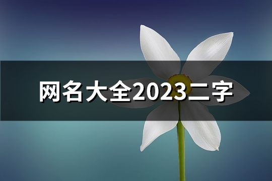 网名大全2023二字(精选2716个)