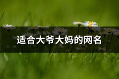 适合大爷大妈的网名(优选258个)