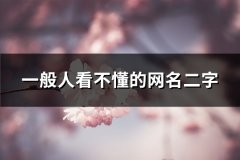 一般人看不懂的网名二字(精选672个)