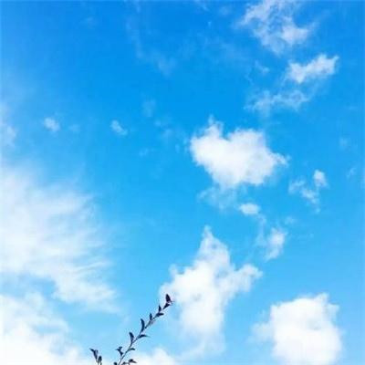 2023年聚财微信头像(优选18张)