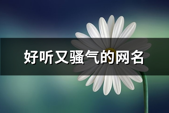 好听又骚气的网名(544个)
