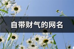 自带财气的网名(优选428个)