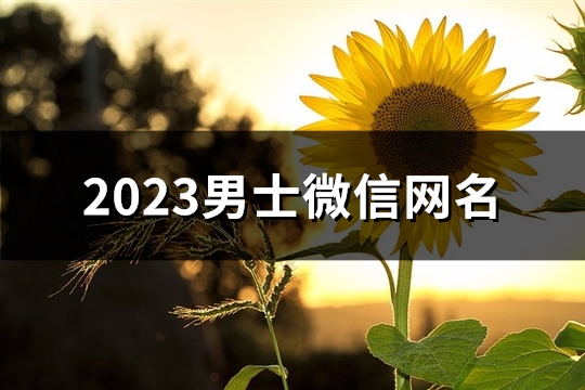 2023男士微信网名(共3293个)