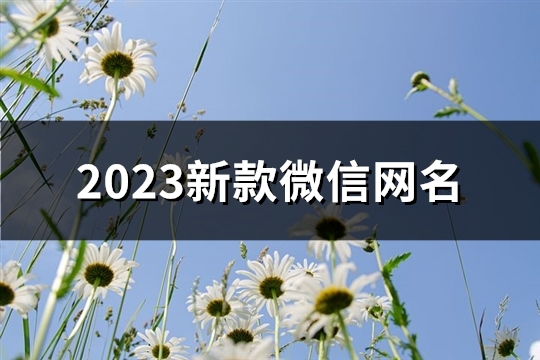 2023新款微信网名(优选1604个)