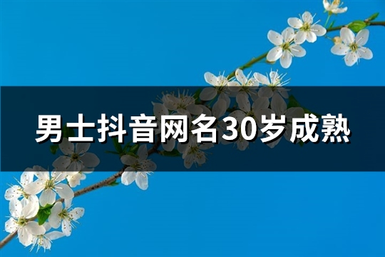男士抖音网名30岁成熟(320个)