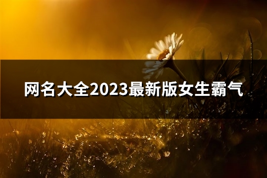 网名大全2023最新版女生霸气(精选1288个)