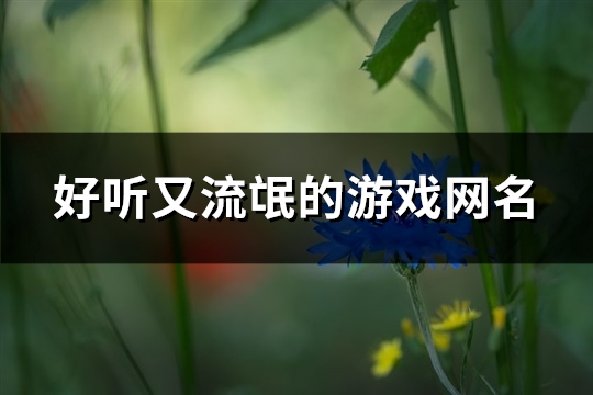 好听又流氓的游戏网名(精选106个)